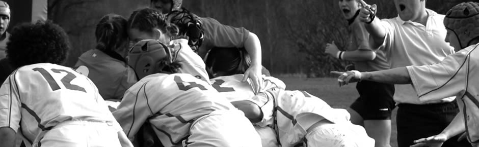 项目管理软件的云呼